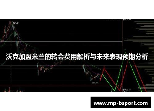 沃克加盟米兰的转会费用解析与未来表现预期分析
