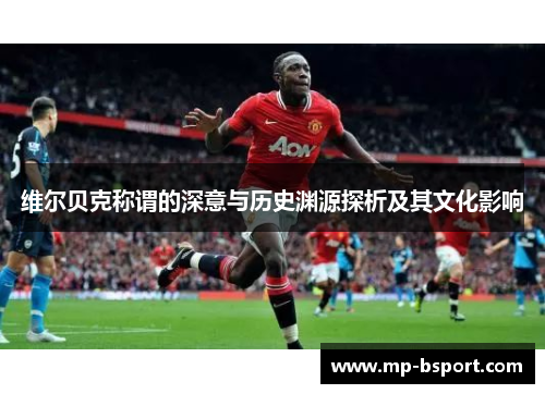 维尔贝克称谓的深意与历史渊源探析及其文化影响