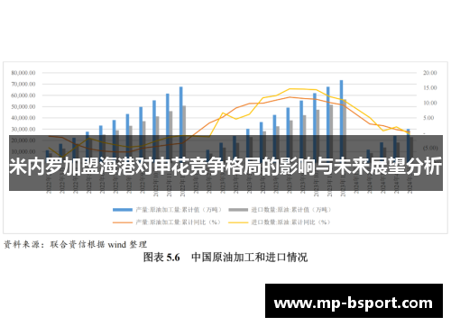 米内罗加盟海港对申花竞争格局的影响与未来展望分析