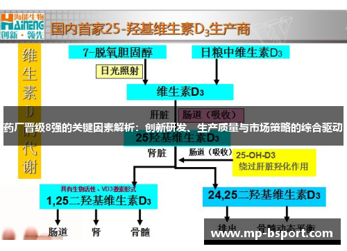 药厂晋级8强的关键因素解析：创新研发、生产质量与市场策略的综合驱动
